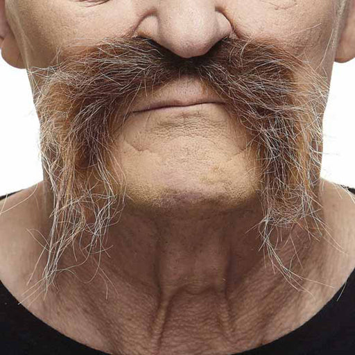 Messy Moustache - Brown/White
