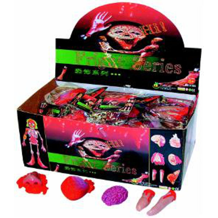 Assorted Body Parts Display.