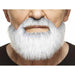 Moustache & Beard - White/Grey