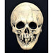 Nightowl Skull White Trick Or Treat Mask.