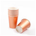 Rose Gold Party Tableware Set - Stripes