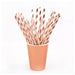 Rose Gold Party Tableware Set - Stripes