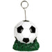 Soccer Ball Balloon And Photo Holder