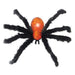 "Spooky Light Up Spider Assortment"