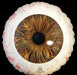 17" Creepy Brown & Blue Eyeballs Round Shape Foil Balloon