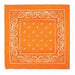 Orange Bandana
