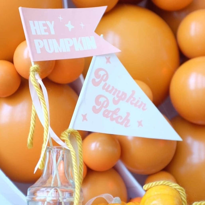Burnt Orange Balloon Pack for Balloon Structures - 300 Pack