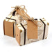 Vintage Airplane Suitcase Favor Boxes 25ct - Shimmer & Confetti